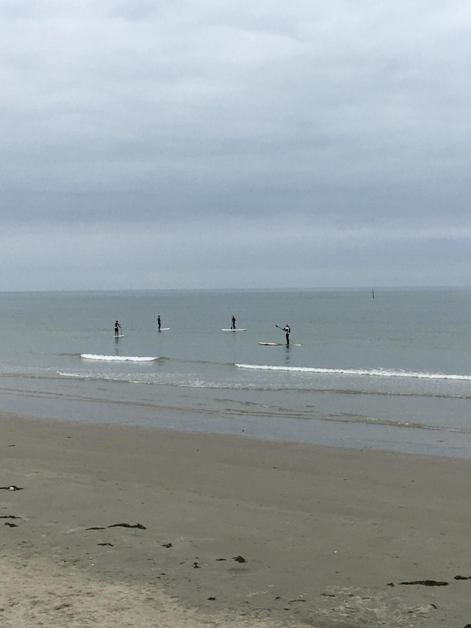Le Wim'Heureux Terrasse Lägenhet Wimereux Exteriör bild
